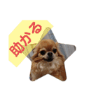 武居familiar7（個別スタンプ：10）