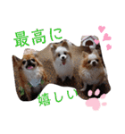 武居familiar7（個別スタンプ：20）