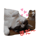 武居familiar7（個別スタンプ：22）