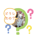 武居familiar7（個別スタンプ：29）