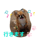 武居familiar7（個別スタンプ：33）