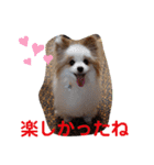 武居familiar7（個別スタンプ：35）
