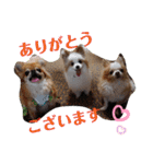 武居familiar7（個別スタンプ：37）