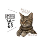 メルとデヴィ（個別スタンプ：16）