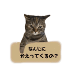 メルとデヴィ（個別スタンプ：21）