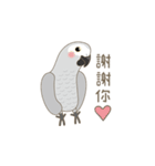 灰色のオウム-FiFi（個別スタンプ：5）