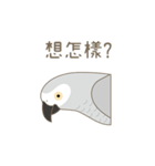 灰色のオウム-FiFi（個別スタンプ：9）