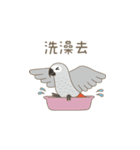 灰色のオウム-FiFi（個別スタンプ：12）