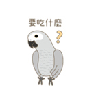 灰色のオウム-FiFi（個別スタンプ：13）