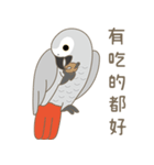 灰色のオウム-FiFi（個別スタンプ：14）