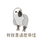 灰色のオウム-FiFi（個別スタンプ：15）