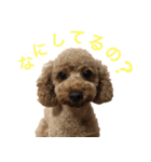 といぷうどるのあちゃんスタンプ（個別スタンプ：2）