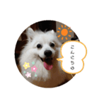 くぅちゃん✨（個別スタンプ：7）
