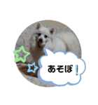 くぅちゃん✨（個別スタンプ：8）