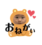 まーぼう（個別スタンプ：14）