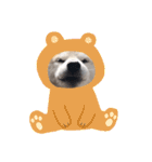 犬の名前はカイです2（個別スタンプ：17）