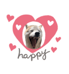 犬の名前はカイです2（個別スタンプ：20）