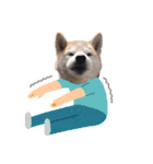 犬の名前はカイです2（個別スタンプ：21）