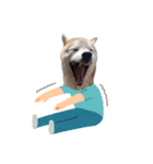 犬の名前はカイです2（個別スタンプ：22）