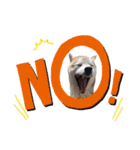犬の名前はカイです2（個別スタンプ：26）