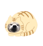 犬の名前はカイです.（個別スタンプ：17）