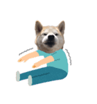 犬の名前はカイです.（個別スタンプ：21）
