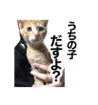 ゆみちゃすたんぷ2（個別スタンプ：7）