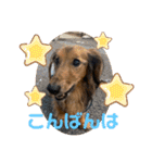 ☆そらくんスタンプ☆（個別スタンプ：2）