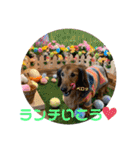 ☆そらくんスタンプ☆（個別スタンプ：18）
