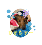 ☆そらくんスタンプ☆（個別スタンプ：29）