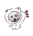 あんこ姫（個別スタンプ：2）