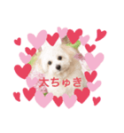 あんこ姫（個別スタンプ：3）