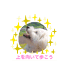 あんこ姫（個別スタンプ：4）