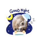 あんこ姫（個別スタンプ：5）