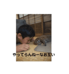 ウサギのクゥー（個別スタンプ：5）