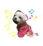 ワンの気持ち♪ 4（個別スタンプ：1）