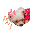 ワンの気持ち♪ 4（個別スタンプ：2）