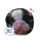 Miiko と かわいいお友達（個別スタンプ：3）