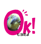 Miiko と かわいいお友達（個別スタンプ：4）