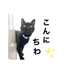 秋田犬くりの日常スタンプ(増量版)（個別スタンプ：2）