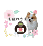 タルトスタジオ（個別スタンプ：1）