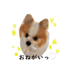 タルトスタジオ（個別スタンプ：5）