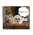 タルトスタジオ（個別スタンプ：9）