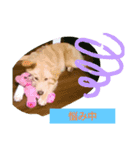 うちのポテちゃん2（個別スタンプ：8）