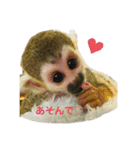 れんとリリィのリスザルスタンプ（個別スタンプ：18）
