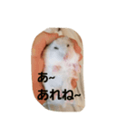 ハムのスーちゃん♡（個別スタンプ：9）