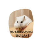 ハムのスーちゃん♡（個別スタンプ：10）