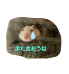 ハムのスーちゃん♡（個別スタンプ：14）