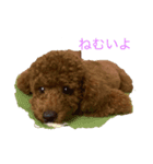 マロンとメイの仲良しスタンプ（個別スタンプ：2）