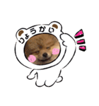 ポメ穂々の愉快な1日（個別スタンプ：3）